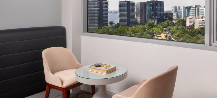 伊斯坦布尔-阿塔科伊华美达大酒店(Ramada Plaza by Wyndham İstanbul Ataköy)图片