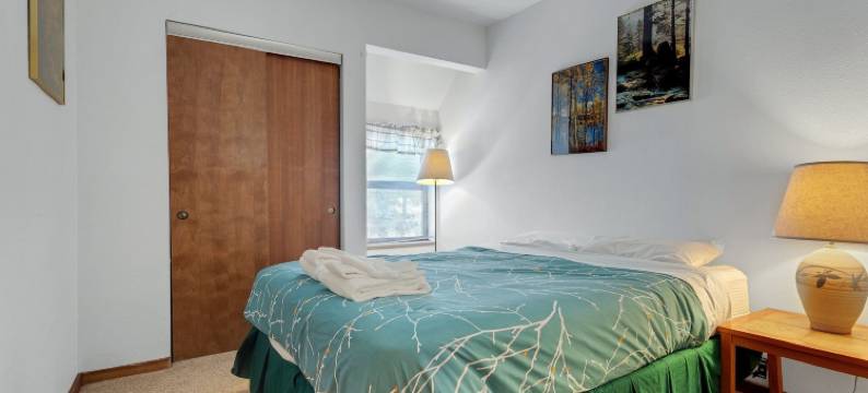 Year Round Condo- Sleeps 5! - Tamarack #17图片