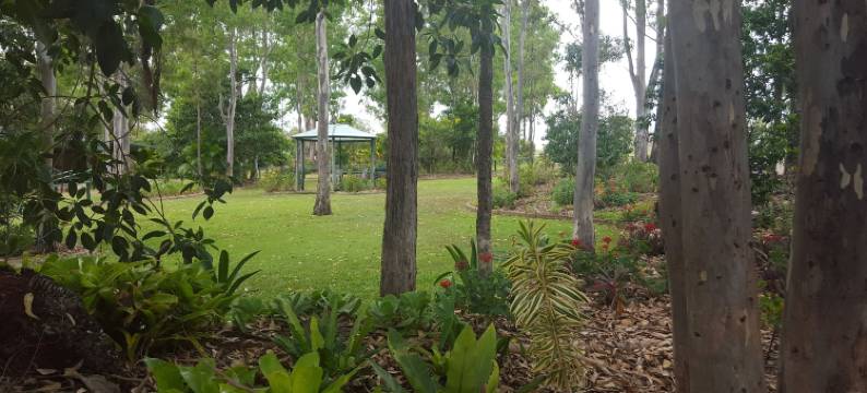 迪阿洛汽车旅馆(Tiaro Motor Inn)图片