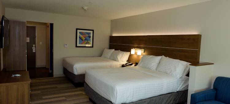 麦金尼智选假日酒店及套房-弗里斯科东-IHG旗下(Holiday Inn Express & Suites Mckinney - Frisco East)图片