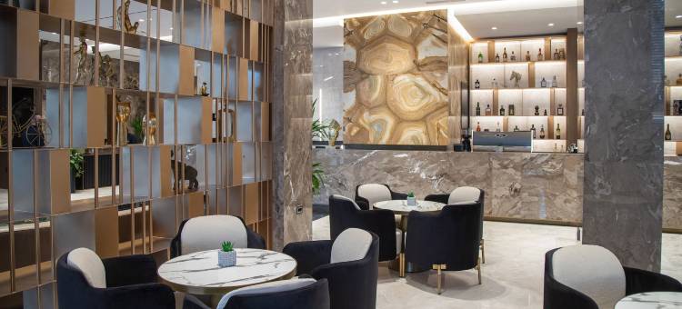 由Meliá附属的廷拉那埃丽莎酒店(Hotel Elisa Tirana, Affiliated by Meliá)图片