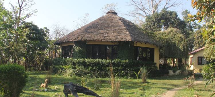 莱诺巴尔迪亚旅馆(Rhino Lodge Bardia Pvt Ltd)图片