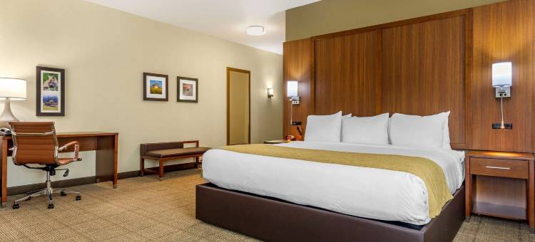 莱克伍德JBLM舒适套房酒店(Comfort Inn & Suites Lakewood by Jblm)图片