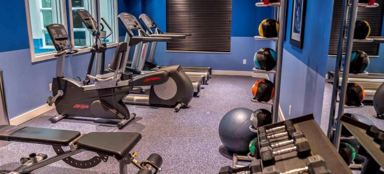 多伦多机场西智选假日套房酒店(Holiday Inn Express & Suites Toronto Airport West)图片