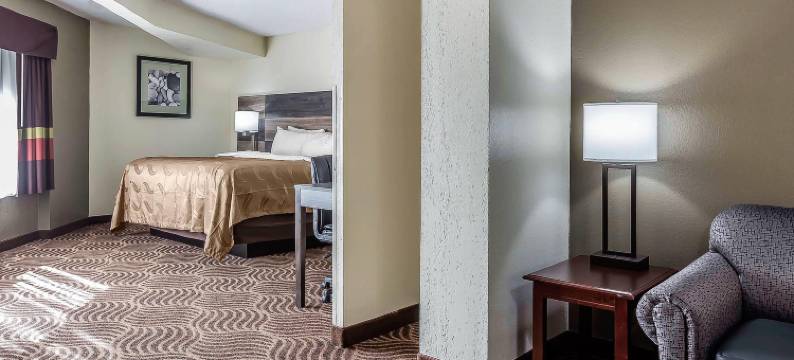 凯艺套房酒店(Quality Inn & Suites)图片