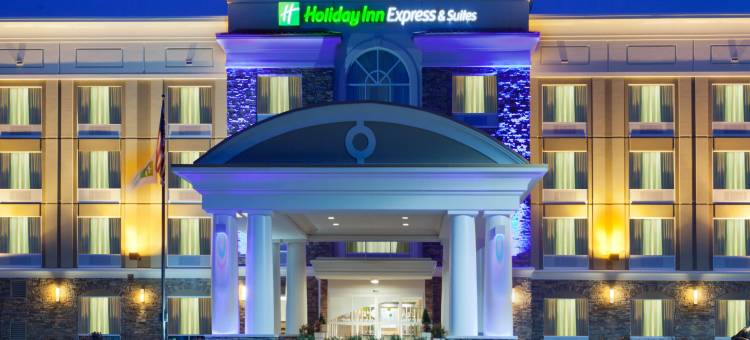 智选假日套房酒店亨茨维尔北(Holiday Inn Express & Suites Huntsville West - Research PK)图片