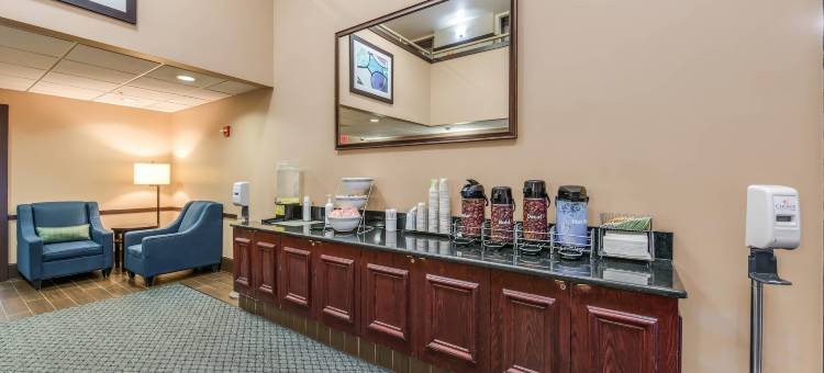 芝加哥奥黑尔机场舒适套房酒店(Comfort Suites Chicago O'Hare Airport)图片