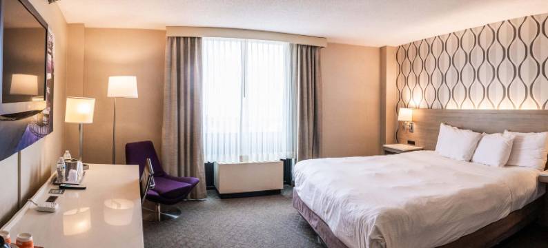 德卢斯港景丽笙酒店(Radisson Hotel Duluth-Harborview)图片