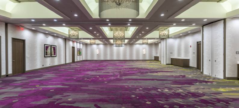 温斯顿塞勒姆大学希尔顿逸林酒店(DoubleTree by Hilton Winston Salem - University)图片