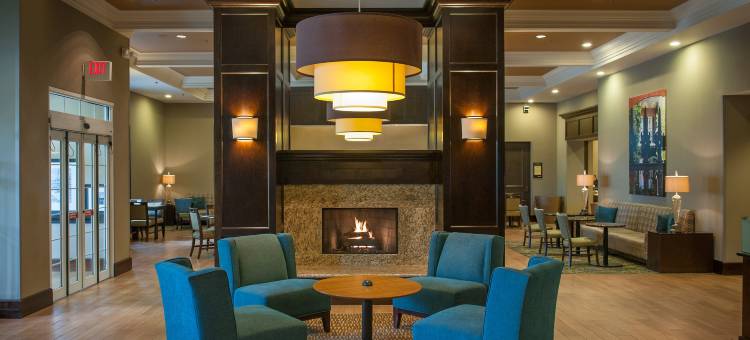 希尔顿欢朋套房酒店-新奥尔良爱姆伍德(Hampton Inn & Suites New Orleans-Elmwood/Clearview Parkway Area)图片