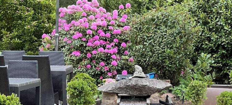 洛雷德罗什酒店(Hotel l'Oree des Roches)图片