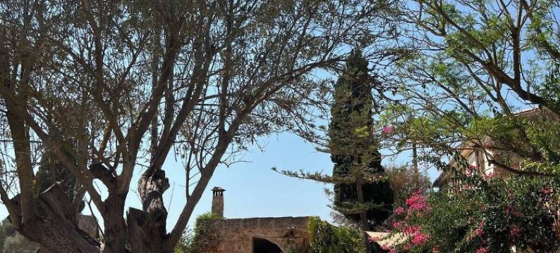 安格洛图里斯莫芬卡松皮拉斯旅馆(Hotel Agroturismo Finca Son Pieras)图片