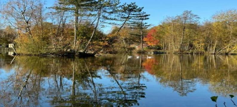 Breton Escape in Querrien图片