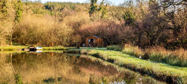 Treehouse in Germansweek near Dartmoor Trails图片