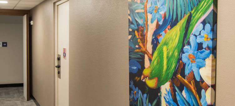 宜必思尚品圣吉莱斯克鲁瓦德维耶酒店(Ibis Styles Saint-Gilles-Croix-De-VIE)图片