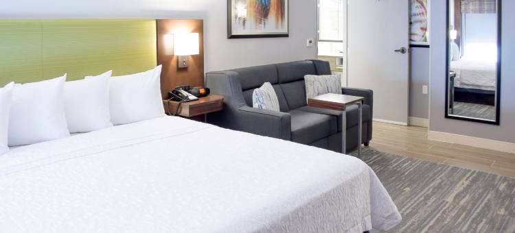 休斯顿I 10西能源走廊欢朋酒店(Hampton Inn Houston I-10W Energy Corridor)图片