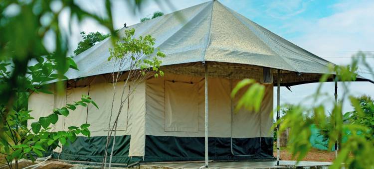 邦德利营地和度假村，潘纳(Bundeli Camps and Resorts, Panna)图片