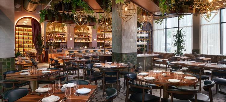 THesis 酒店迈阿密珊瑚阁，希尔顿好奇精选系列(THesis Hotel Miami Coral Gables, Curio Collection by Hilton)图片