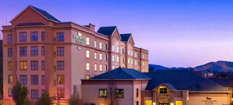 Homewood Suites by Hilton阿什维尔-隧道路(Homewood Suites by Hilton Asheville-Tunnel Road)图片