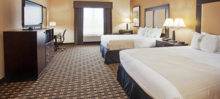 Holiday Inn 阿林顿东北流浪者棒球场(Holiday Inn Arlington NE-Rangers Ballpark)图片