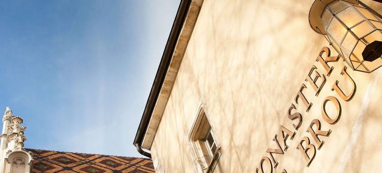 宜必思布雷斯地区布尔格酒店(Ibis Bourg-en-Bresse)图片