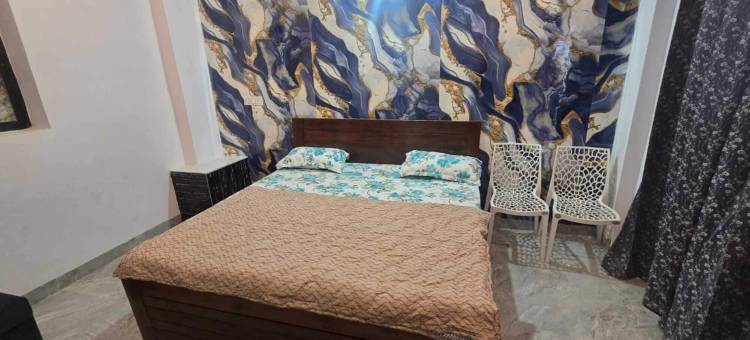 阿拉夫宫酒店(Hotel Aarav Palace)图片