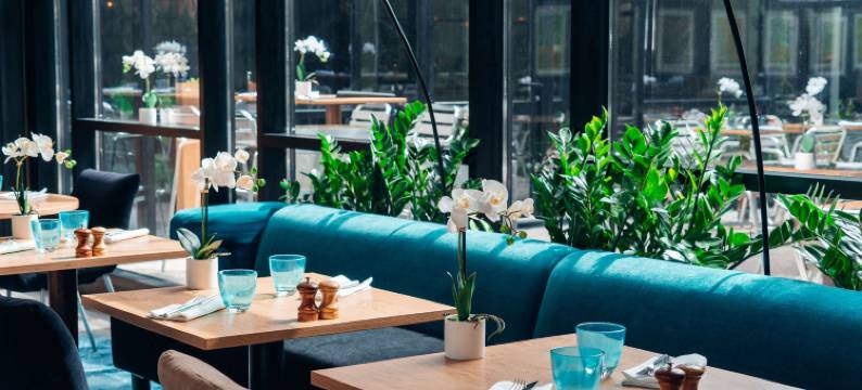 巴黎奥利朗吉斯机场美居酒店(Mercure Paris Orly Rungis Aéroport)图片