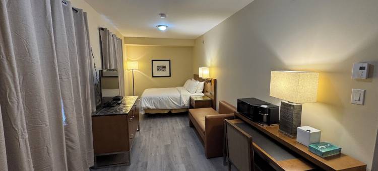 肯里西亚酒店(Kenricia Hotel)图片