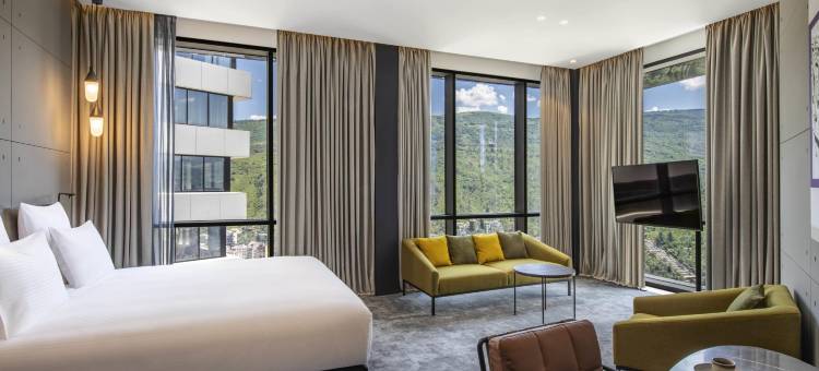 第比利斯中心塔铂尔曼酒店(Pullman Tbilisi Axis Towers)图片