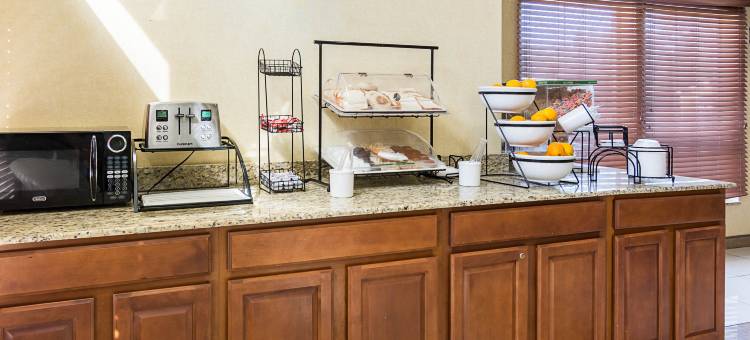 切萨皮克朴茨茅斯舒适套房酒店(Comfort Inn & Suites Chesapeake - Portsmouth)图片