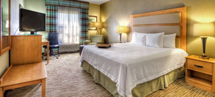 卡拉马祖奥施蒂莫欢朋酒店及套房(Hampton Inn & Suites Kalamazoo/Oshtemo)图片