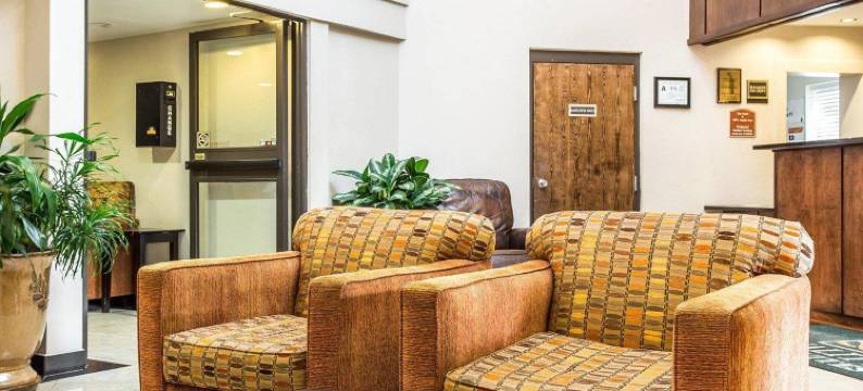 竞技场品质套房假日酒店(Quality Inn & Suites Coliseum)图片