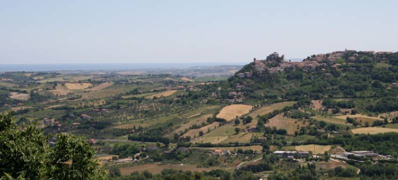 Vinsea酒店(Vinsea Hotel)图片