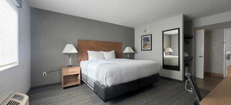 戈尔登-丹佛西舒适套房酒店(Comfort Inn & Suites Golden - Denver West)图片