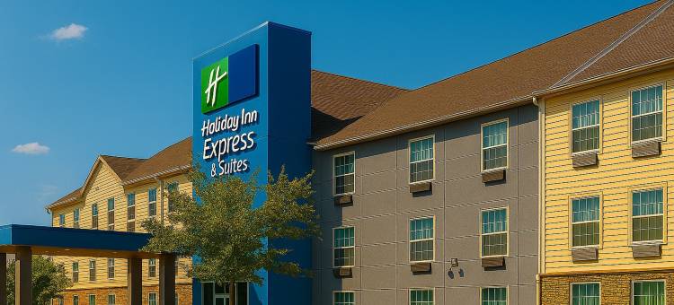 芝加哥马特森智选假日酒店(Holiday Inn Express & Suites CHICAGO - MATTESON by IHG)图片