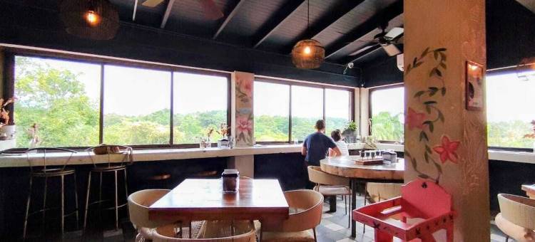 阿尔玛维达酒店(Alma Vida Hotel)图片