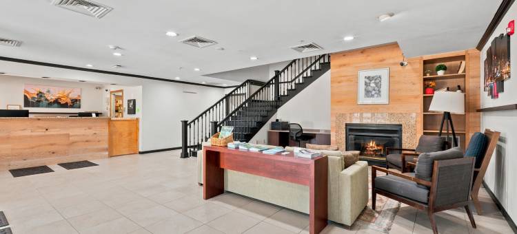 罗切斯特威洛套房酒店(Willow Inn Suites Rochester)图片