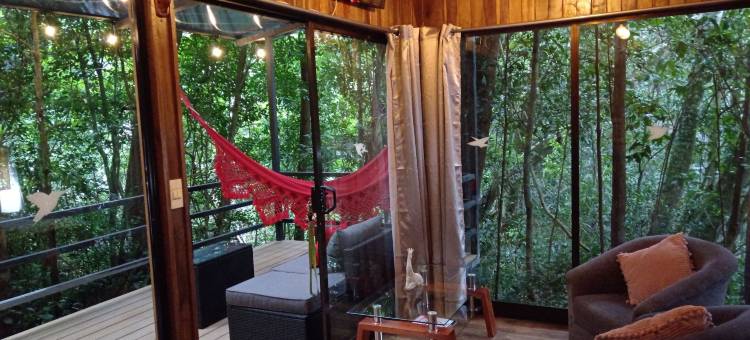 丛林生活树屋(Jungle Living Tree Houses)图片