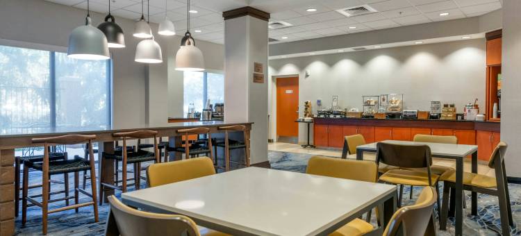 万枫塔彭斯普林斯霍勒德酒店及套房(Fairfield Inn & Suites Holiday Tarpon Springs)图片