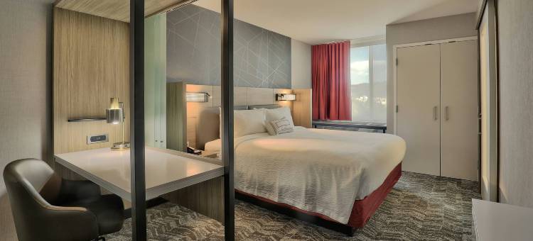 杜兰戈SpringHill Suites酒店(SpringHill Suites Durango)图片