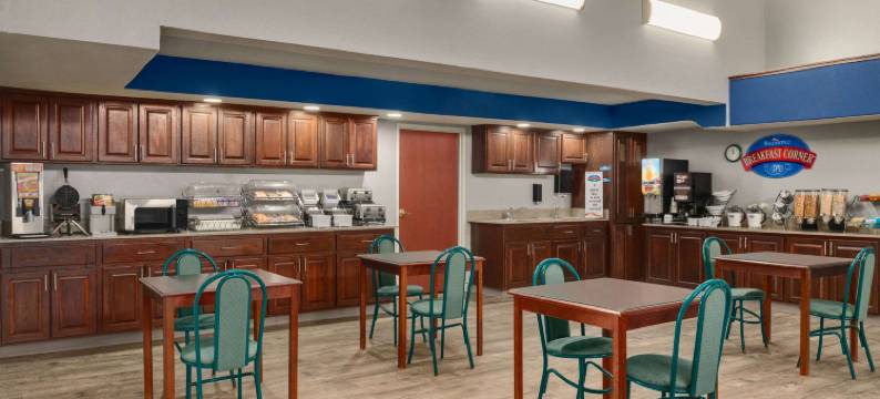 斯旺顿温德姆呗盟酒店(Baymont Inn & Suites by Wyndham Swanton/Toledo Airport)图片