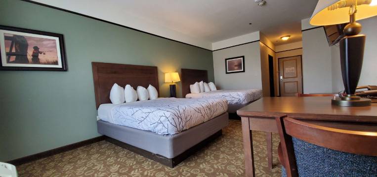 艾莫里福克湖贝斯特韦斯特优质套房酒店(Best Western Plus Emory at Lake Fork Inn Suites)