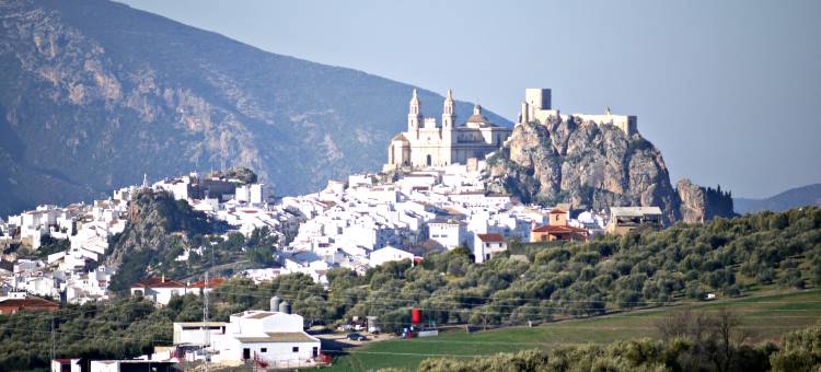 Lemon Tree Patio-Mountain View, Delightful Home in Olvera-Cadiz-Andalucia-Spain图片