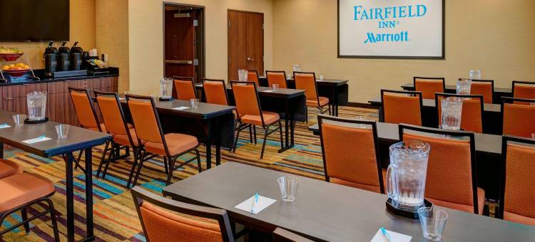 底特律特洛伊万枫套房酒店(Fairfield Inn & Suites Detroit Troy)图片