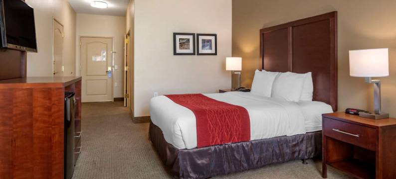 舒适套房酒店(Comfort Inn & Suites)图片