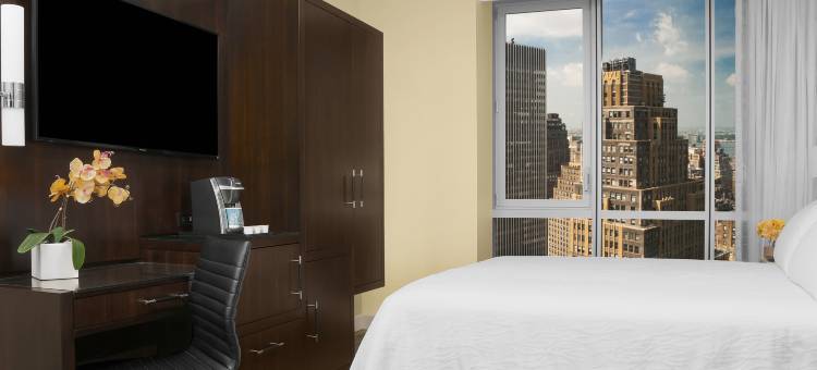 纽约/时代广场希尔顿花园酒店(Hilton Garden Inn New York - Times Square Central)图片