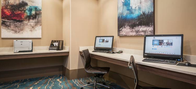 西棕榈滩机场希尔顿逸林酒店及度假村(DoubleTree by Hilton Hotel West Palm Beach Airport)图片