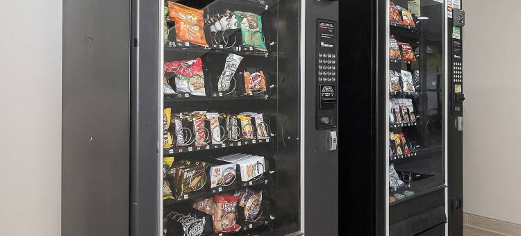 圣彼得堡坦帕湾红顶酒店(Red Roof Inn Tampa Bay - St. Petersburg)图片