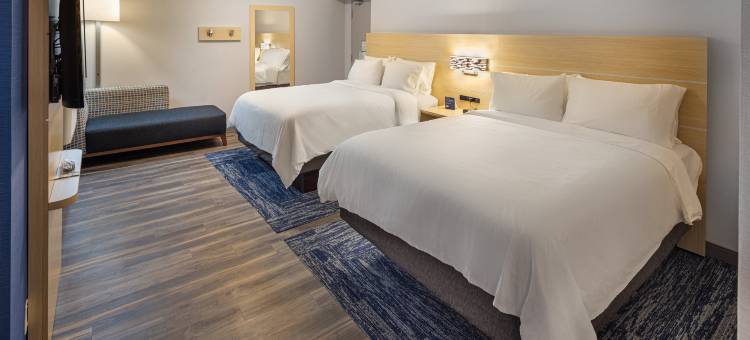 智选假日套房酒店亚特兰大市中心(Holiday Inn Express & Suites Atlanta Downtown)图片