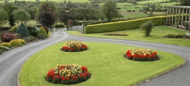 拱门家庭旅馆(The Arches)图片